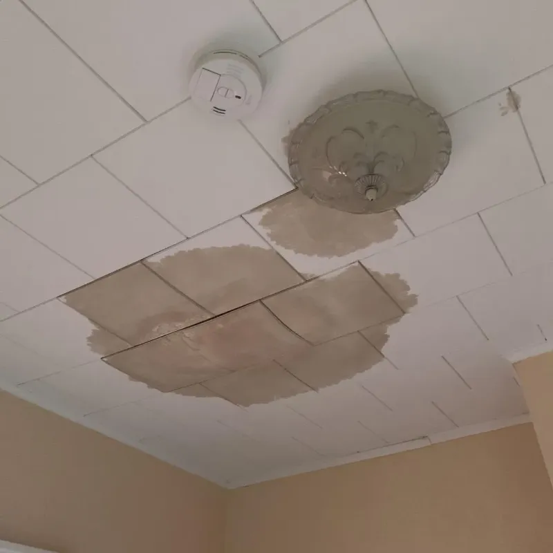 Ceiling Water Damage Repair in Folly Beach, SC